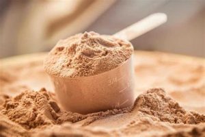 Protein Tozu Nedir? Hangi Türleri Vardır ve Nasıl Kullanılır?