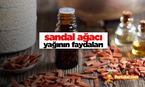 sandal ağacı yağı