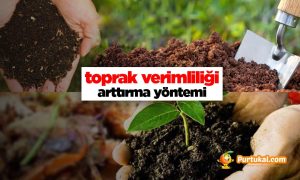 Organik Gübre Kullanarak Toprak Verimliliğini Artırın