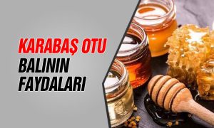 karabaş otu balı